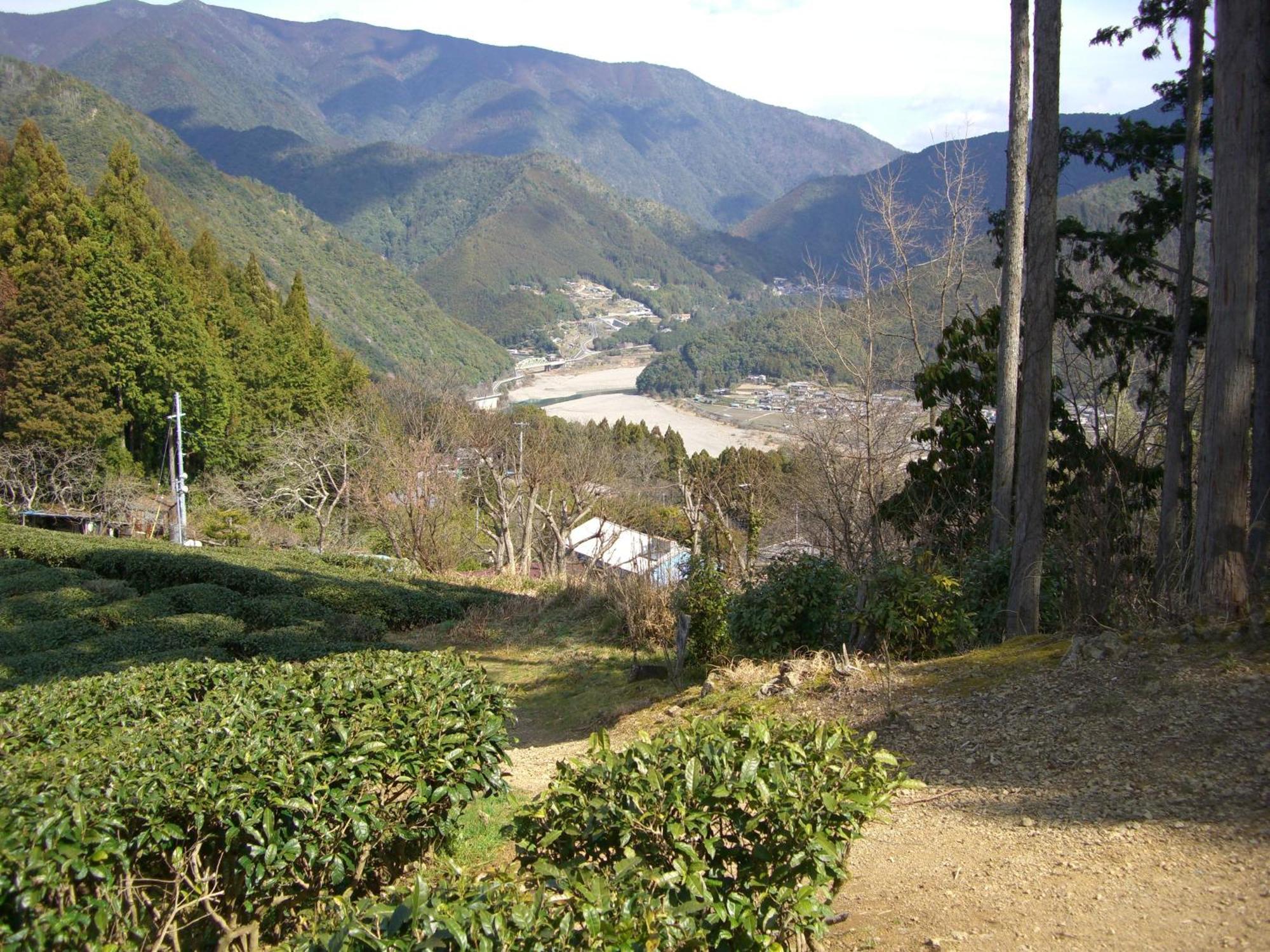 Ashita No Mori Hongu Exterior foto
